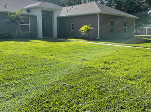 Rachel C.'s grass cutting service result