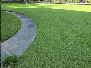 Cecil W.'s lawn service service result