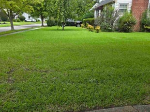 David R.'s yard service service result
