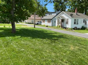 Susan S.'s turf care service result