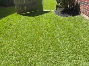 Brian A.'s lawn maintenance service result