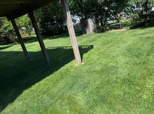 Sam R.'s grass maintenance service result