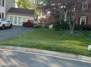 Richard D.'s grass cutting service result