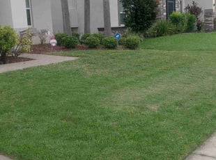 Wanda K.'s turf maintenance service result