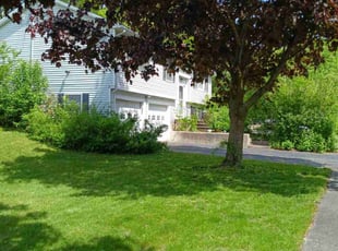 Kristen M.'s grass cutting service result