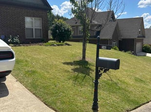 Dawn L.'s turf care service result