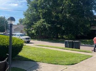 Nilza L.'s grass cutting service result