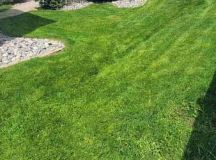 Kerry L.'s grass cutting service result