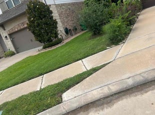 Lashanda B.'s grass cutting service result