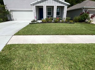 Abay Z.'s lawn care service result