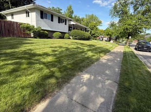 Vincent M.'s lawn service service result