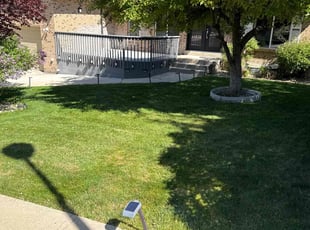 Shani C.'s turf maintenance service result