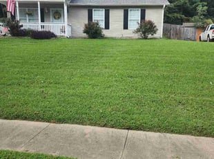 Carmen M.'s lawn care service result