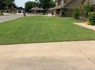 Jermaine J.'s grass cutting service result