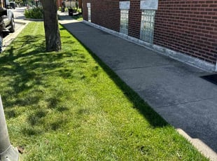 Lucas M.'s grass maintenance service result