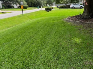 Angie M.'s turf maintenance service result