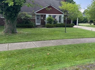 Chad G.'s grass cutting service result