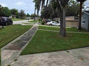 Tiara B.'s lawn care services service result