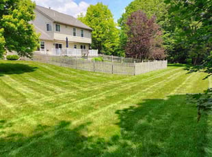 Rasmey H.'s lawn care services service result