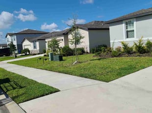 Andrew R.'s turf care service result