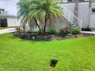 David B.'s Flower Bed Weeding service result