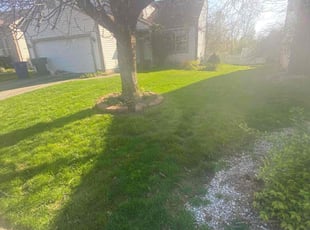 Tim C.'s lawn care services service result