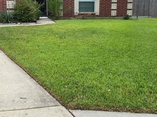 John B.'s lawn maintenance service result