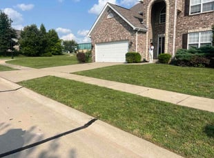 Emma W.'s turf care service result