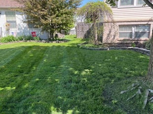 Mark O.'s lawn care service result