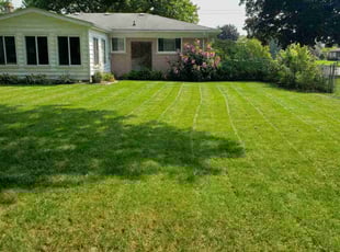 Brad W.'s lawn care service result