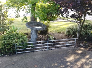 Tam N.'s Bush Trimming service result