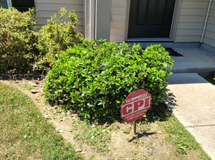 Max G.'s Bush Trimming service result