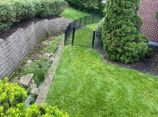 Kenneth S.'s turf care service result