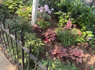 Danielle N.'s lawn care service result