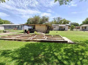 Jose C.'s grass cutting service result