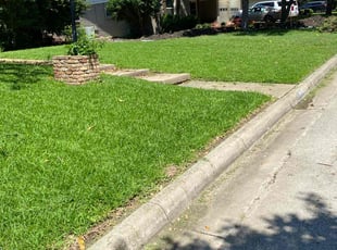 Elliott B.'s grass maintenance service result