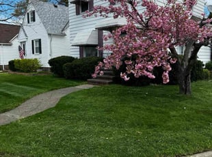 Barbara S.'s lawn care services service result