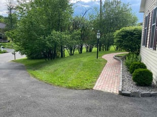 Michele M.'s lawn care service result