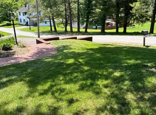 Ronnette C.'s turf care service result