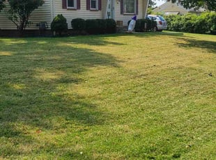 Melodie V.'s grass cutting service result