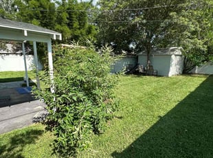 Steve V.'s lawn maintenance service result