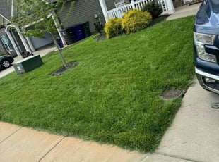 Willie S.'s turf maintenance service result