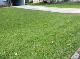 Shemeka L.'s turf maintenance service result