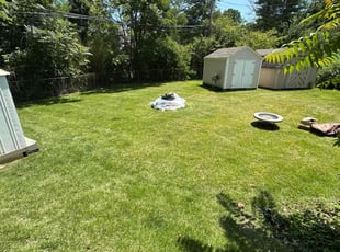 Nicole S.'s lawn care service result