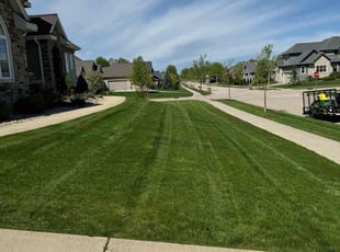 Alison Y.'s lawn maintenance service result