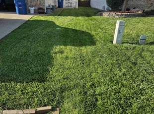 Lois C.'s turf care service result