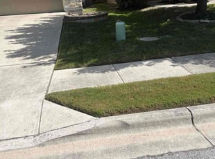 Miriam M.'s turf maintenance service result