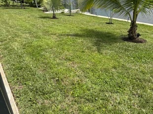 Cheryl F.'s turf maintenance service result