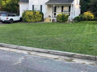 Cecile R.'s turf care service result