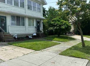 Trish K.'s grass cutting service result